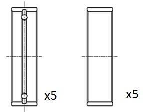 Crankshaft Bearing